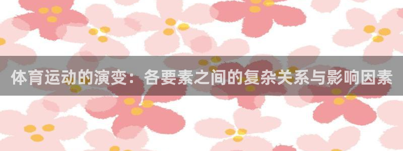 xc体育app官方网站