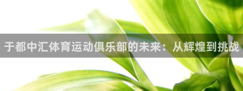 xc体育app官方网站