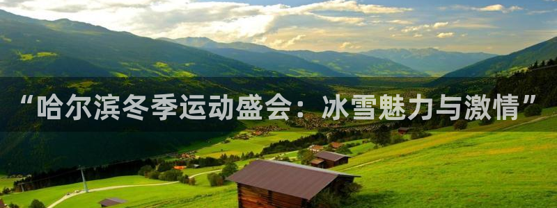 xc体育app官方网站