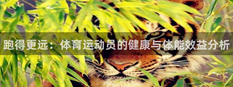 xc体育app官方网站