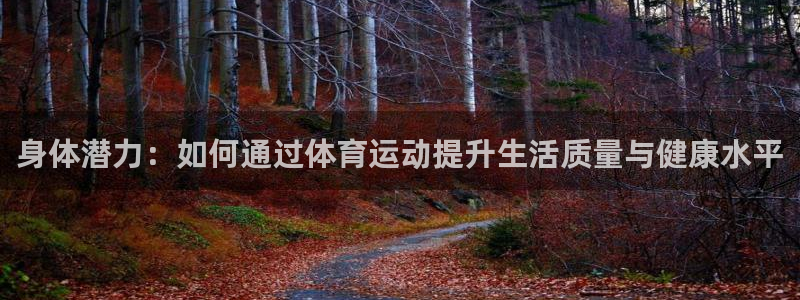 xc体育app官方网站