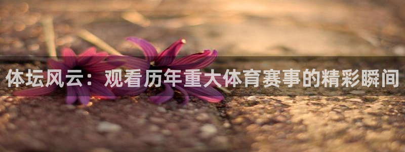 xc体育app官方网站