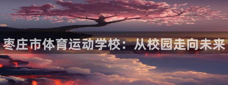 xc体育app官方网站：枣庄市体育运动学校：从校园走向未来