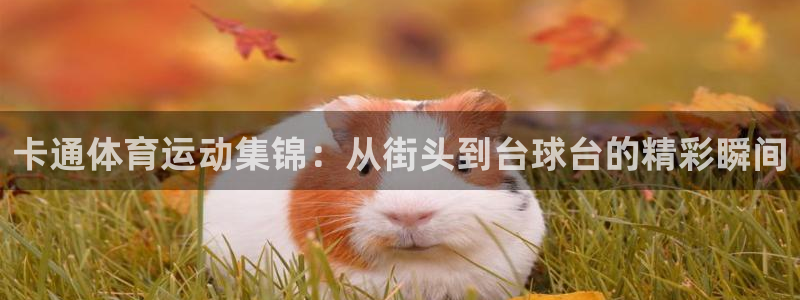 xc体育app官方网站：卡通体育运动集锦：从街头到台球台的精彩瞬间