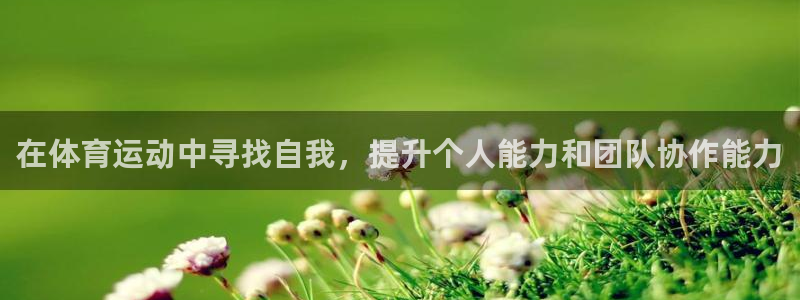 xc体育app官方网站