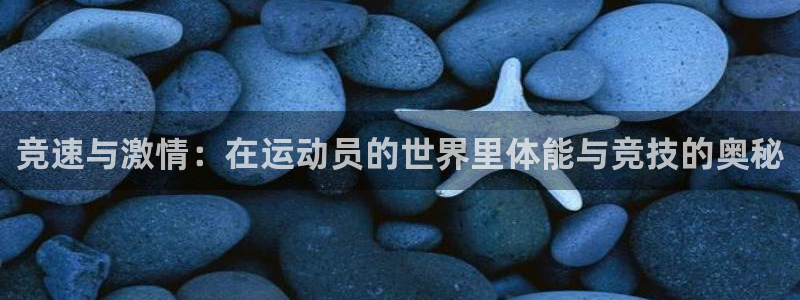 xc体育