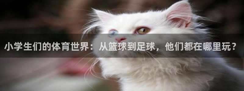 xc体育app官方网站
