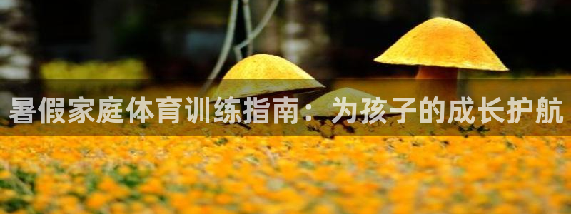 xc体育
