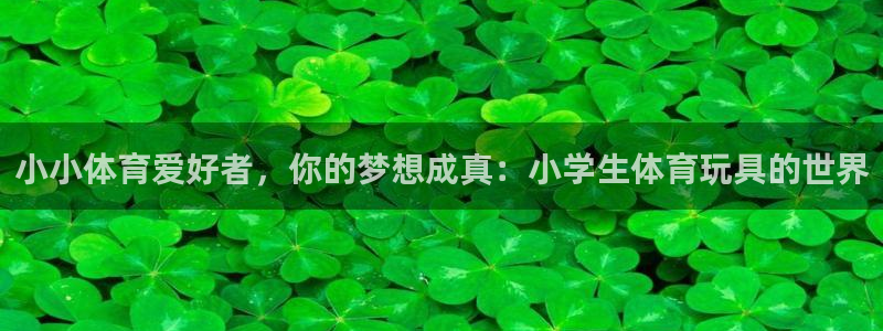 xc体育app官方网站：小小体育爱好者，你的梦想成真：小学生体育玩具的世界